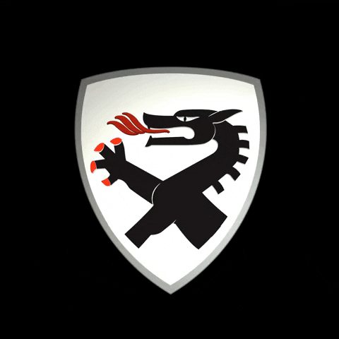 MTM - Motor Technik Mayer